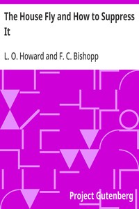 Cover of The House Fly and How to Suppress It — Story, Setting & Ideas