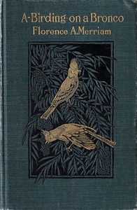 Cover of A-Birding on a Bronco — Themes and Context