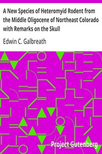 Cover of A New Species of Heteromyid Rodent from the Middle Oligocene of Northeast Colorado with Remarks on the Skull — Key Ideas to Explore
