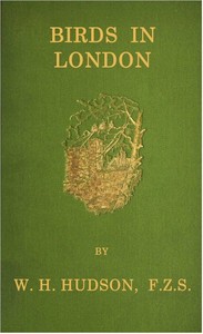 Cover of Birds in London — A Closer Reading