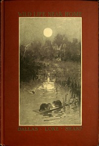 Cover of Wild Life Near Home — Reading Notes