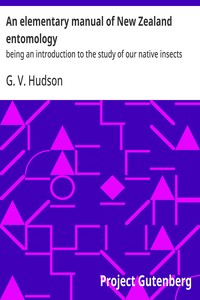 Cover of An elementary manual of New Zealand entomology — Key Ideas to Explore