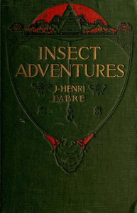 Cover of Insect Adventures — Reading Companion