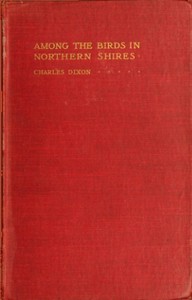 Cover of Among the Birds in Northern Shires — Edition Insights