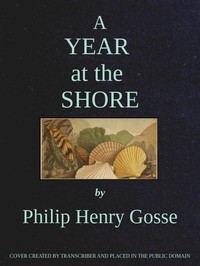 Cover of A year at the shore — Reading Notes