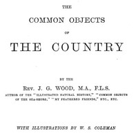 Cover of The Common Objects of the Country — Background and Themes