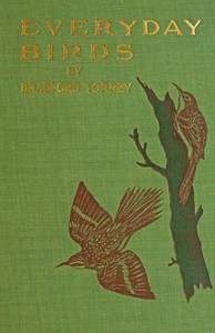 Cover of Everyday birds: Elementary studies — Reading Notes