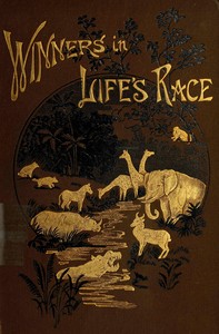 Cover of The winners in life's race — Edi...
