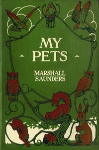 Cover of My pets — Themes and Context